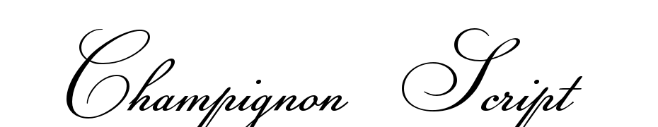 Champignon Script Font Download Free